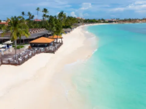 迪維阿魯巴島全包度假村 鷹海灘酒店