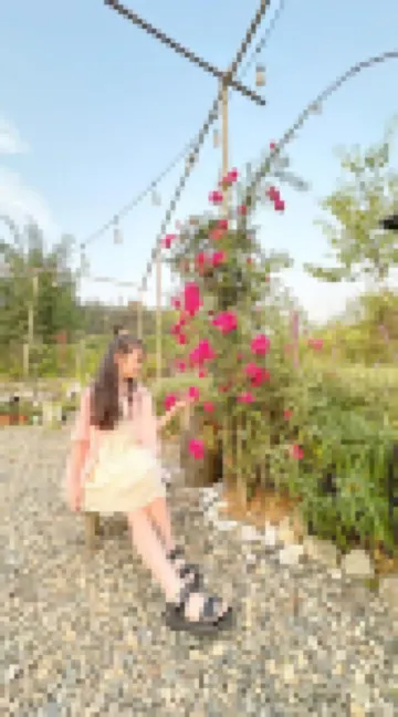 Thanh Truc Villa & Flower Hotels in 