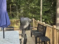 Tranquil, serene Sebago Lakefront House on 2 wooded acres - 300ft waterfront! Hotels in Casco