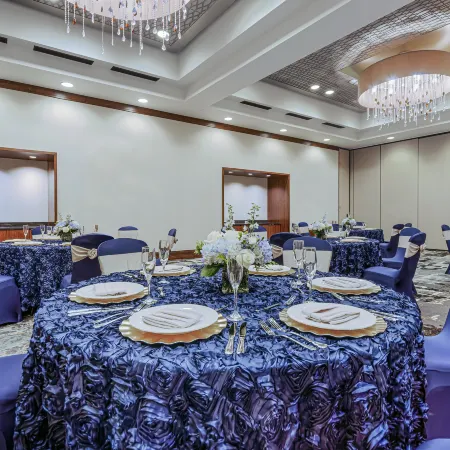 Embassy Suites by Hilton Houston Downtown