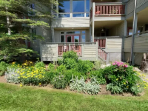 Charming Muskoka Getaway on Fairy Lake, Huntsville