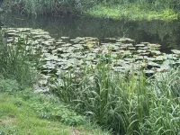 Charming 3-Bedroom Cottage in Worthing, Norfolk – Sleeps up to 8. Các khách sạn ở Dereham