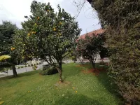 House in Llanes ideal for vacations or family getaways or with friends. Hotels in Llanes