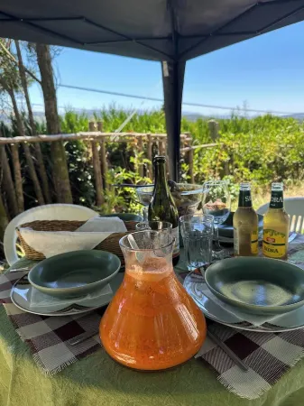 1 bedroom wooden caravan with pool and barbecue. sleeps up to 3 people