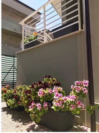 BLUE HOUSE Отели в г. Porto Sant'Elpidio