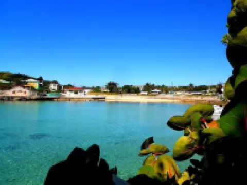 WATERFRONT W/POOL, STARFISH Hotels in Gregory Town