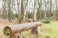 Little Seven Oaks is a one bedroom country retreat set in an ancient woodland.