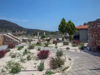 Aether Panorama Pool Retreat Hotels in Epidaurus