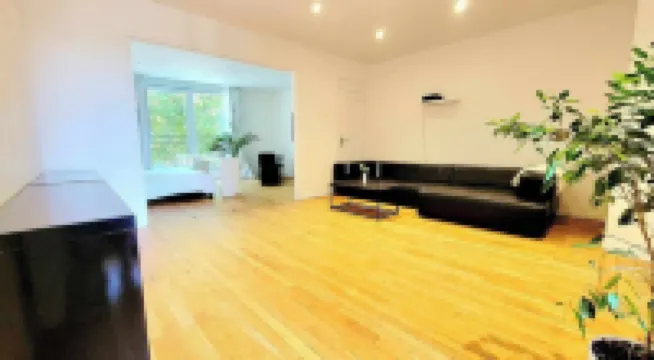 Aparthotel SPA: jacuzzi, sauna, terrace, balcony, hyper center, Place Drouet D'Erlon