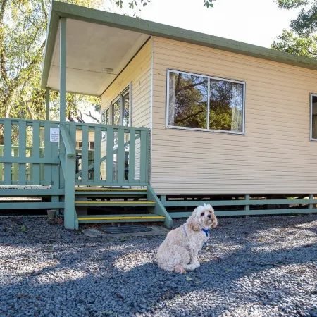 Warburton Holiday Park