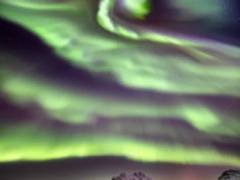 Central 1BR apartment (D14D) Hotels in Narvik