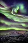 Central 1BR apartment (D14D) Hotel a Narvik