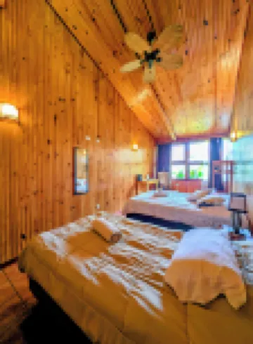 Miztli Lodge & Adventure