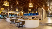 佩斯塔納阿爾沃爾普拉亞海灘和高爾夫度假村酒店 - 酒吧