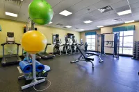Holiday Inn BISMARCK by IHG - Gym