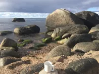 "Asgot" - 15m from the Sea - 4-Sterne