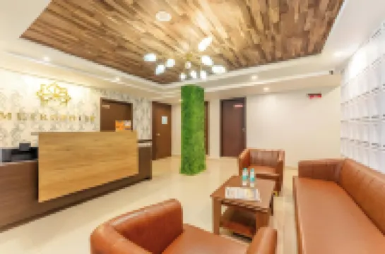 Metropolis Business Hotel