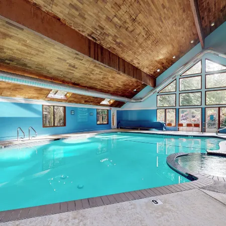 1 BR Mtn Apartment w/ Wood Fireplace & Pool