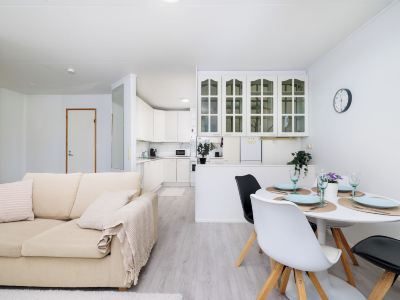 Spacious 1BR Apt. near the city center
