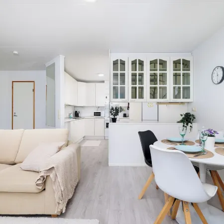 Spacious 1BR Apt. near the city center