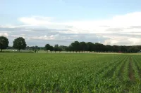 Apartment in Posterholt Near Meinweg Park -  Ferienwohnungen