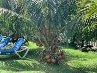 Hôtel Douce Vague Hotels in 