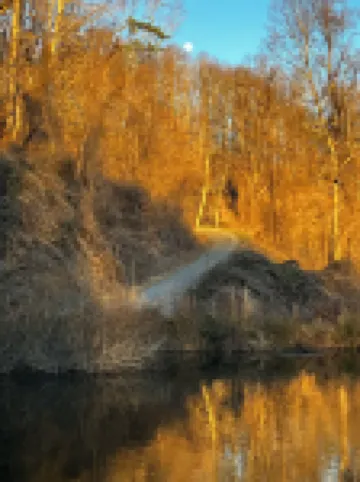 Tiny cabin by the creek