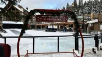 Premier 1 Bd/1 Br Condo Ski in and Out.  Gondola is Right Outside the Condo.