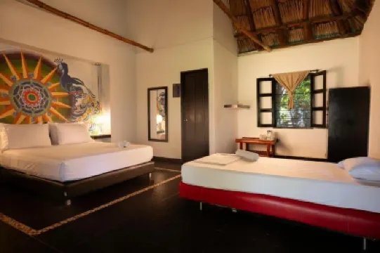 Dreamer Palomino Hotels in 