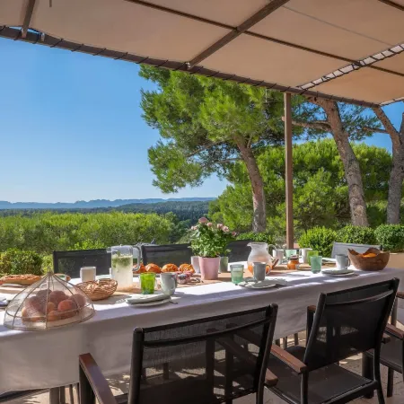 Mas Noves - Horizon Alpilles Villa Отели в г. Нов
