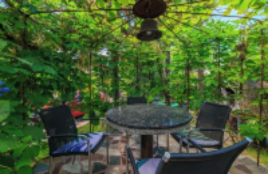 Apartments Rasa
