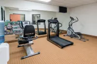 Wingate by Wyndham Bowling Green - Gym