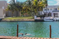 Chez Waffle Hotel - Pools