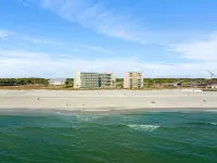 Beachfront Studio Condo - Top of the Gulf 317 - Apartments