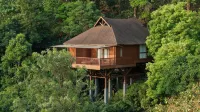 The Tamara Coorg