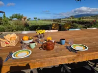 Anima Sarda Bed & Wine - Bed and Breakfasts