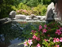 Imamura - Hot Springs