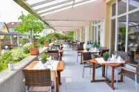 Radisson Blu Park Hotel & Conference Centre, Dresden Radebeul - Pool