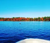 Lake Harmony Inn - 2-Star