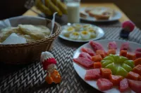 Redpanda Jungle Camp - Frühstück