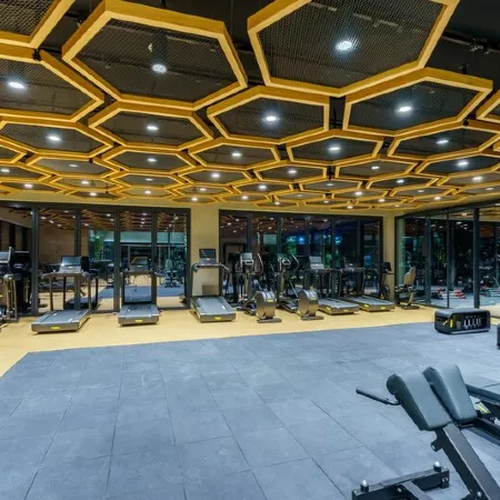 Regnum Carya