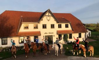 Wohnung in Dargun Mit Pool Und Streichelzoo