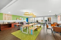Spark by Hilton Killeen - Wifi