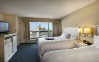 Hampton Inn & Suites Myrtle Beach-Oceanfront - Pet friendly