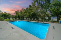 Hilton Garden Inn Charleston Airport - Pool