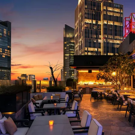 Discovery SCBD