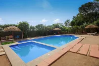 Dream Jet Cottages - Pools