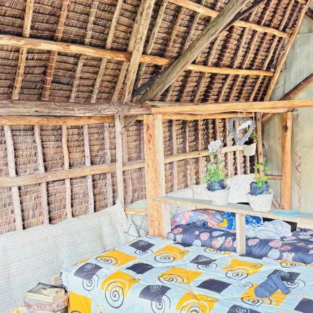 Soul Nest Camp