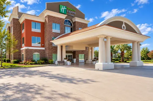 Holiday Inn Express & Suites HOUSTON NW - TOMBALL AREA by IHG - Swimmingpools