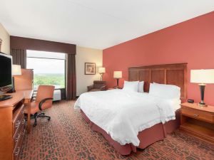 Hampton Inn Branson-West